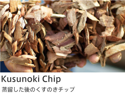 ▶ Kusunoki Chip
