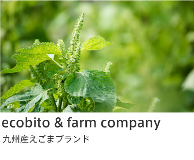 ▶ えこびと農園 ecobito farm & company - えごま食品